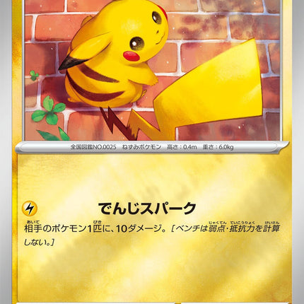 Pikachu 216/SV-P Reverse Holo Summer Promo Card